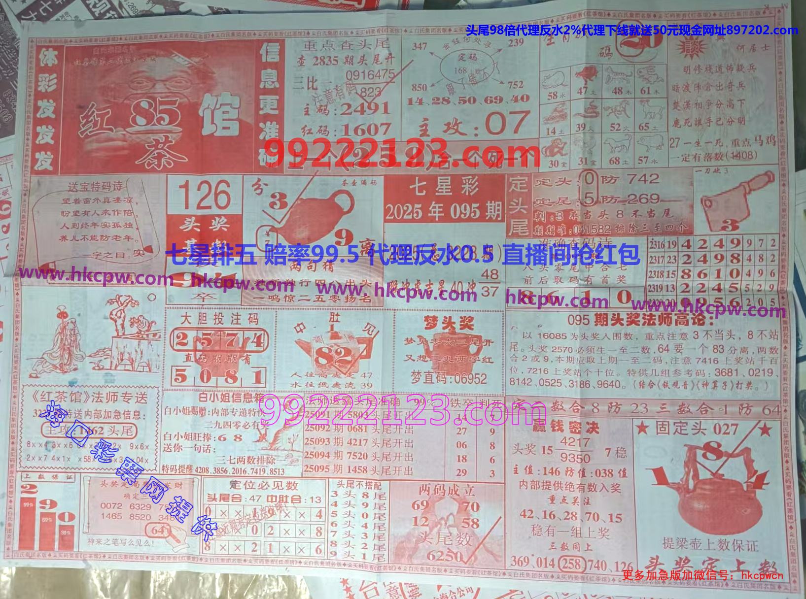 ���� (1).jpg