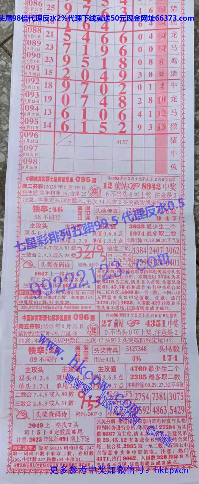 ���� (1).jpg