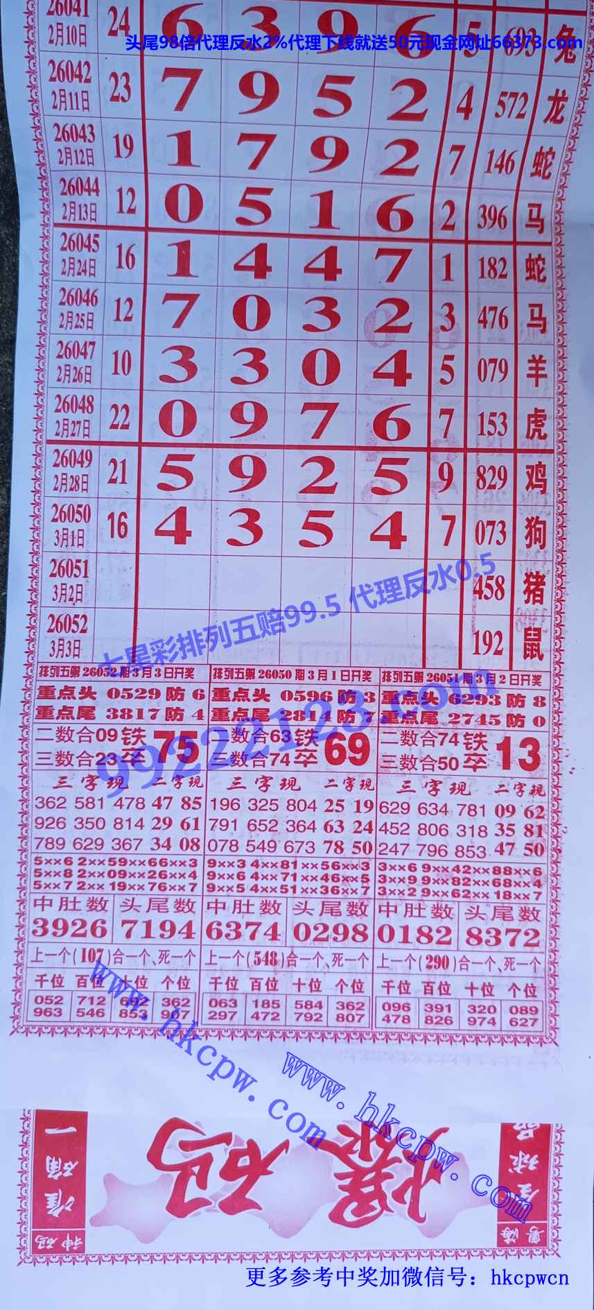 ���� (2).jpg